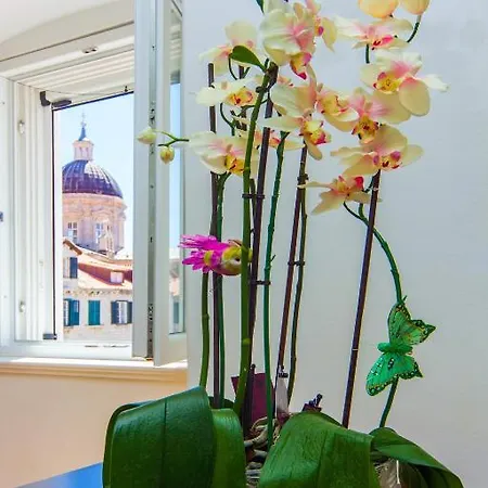 & Orlando Guest house